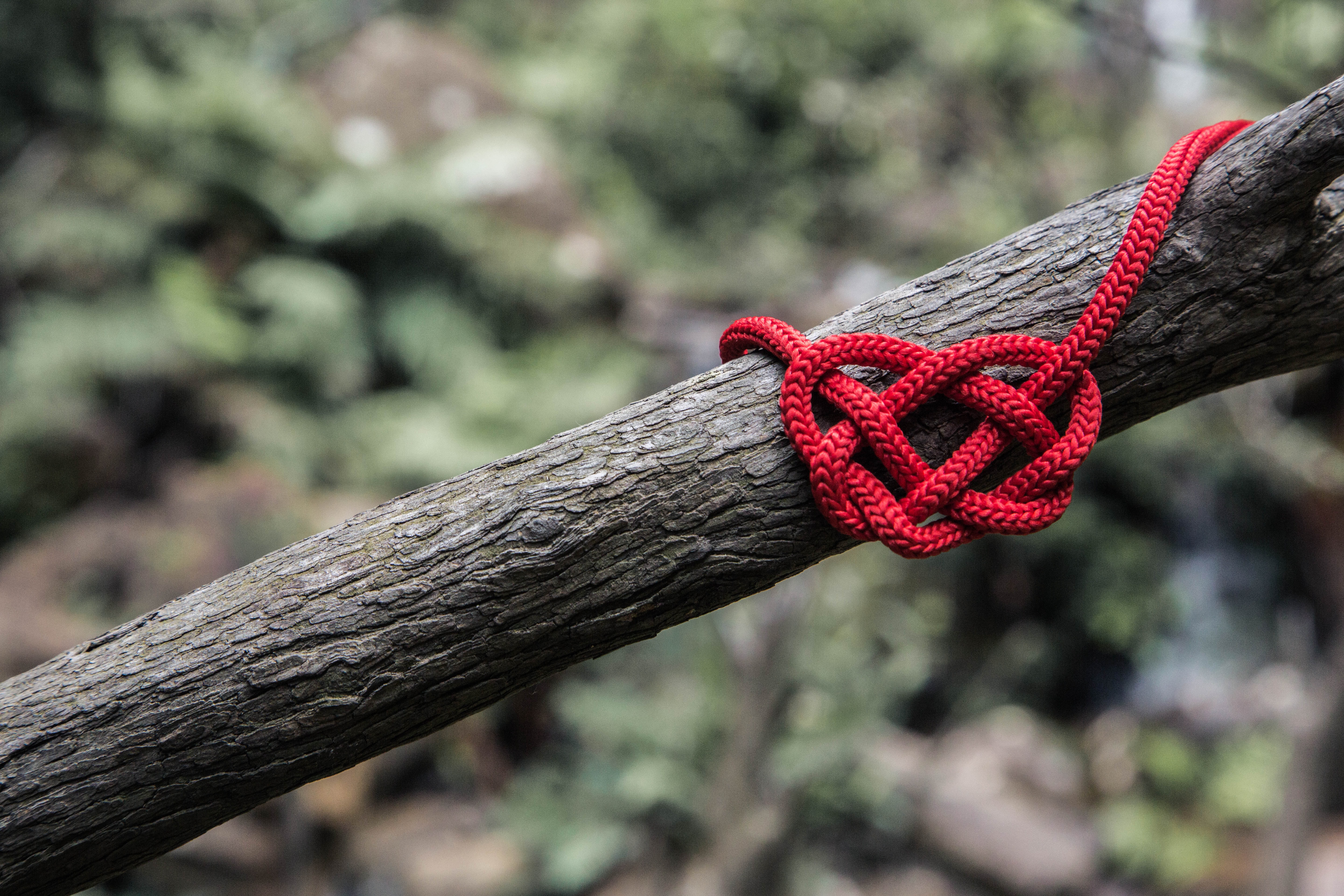 red heart rope knot on tree branch